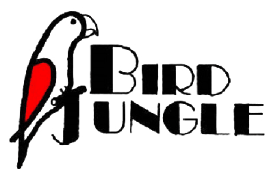 Bird Jungle
